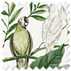 Iquitos, Lush Green - Twist&Fit Roman Blind